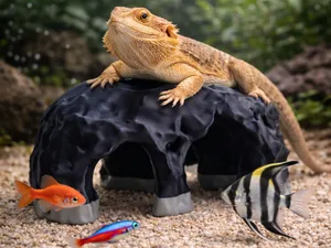 Fish & Reptile Hide Cave”