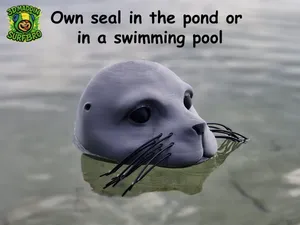 Own seal in the pond or in a swimming pool