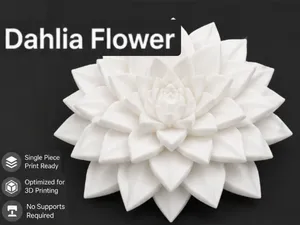 Dahlia Flower