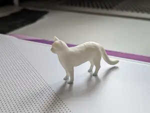 Detailed Cat Standing