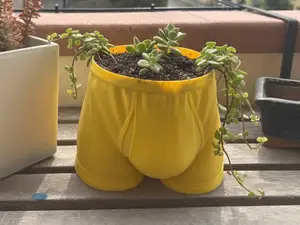Mutanda vaso