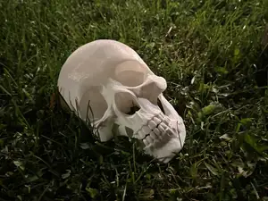 Halloween Garden Skull