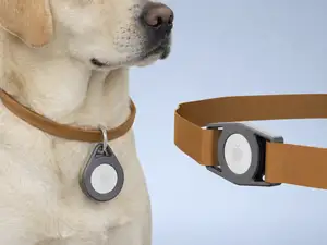 Airtag Pet Collar