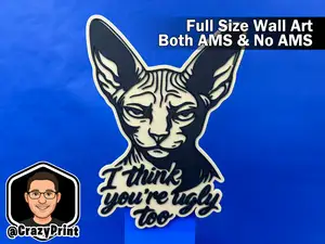 Funny Ugly Cat Sign / Wall Art - No AMS - Sphynx 