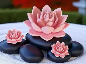 Fleur de lotus