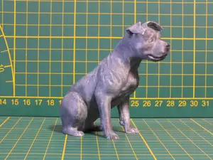 Blue English Staffordshire Terrier