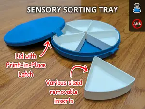 Sensory Sorting Tray With Lid & Removable Inserts