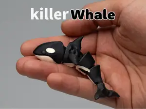 Flexi Killer Whale - Articulated
