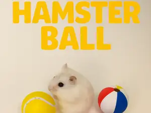 HAMSTER BALL