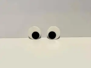 Craft eyes
