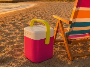 Retro Slim can Cooler