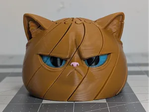 Twisty Grumpy Cat