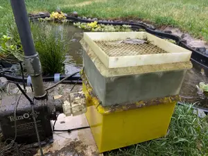 Pond Filter Box - 3 Sections: Screen medium cavity
