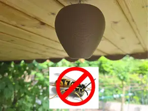 Anti Wasp Nest with real wasp texture