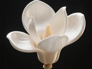 百合花