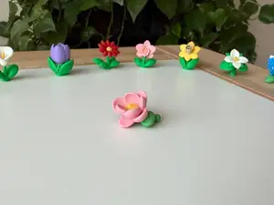 Magnolia