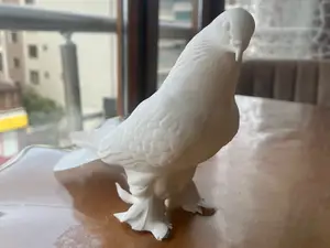 Muffed Pigeon | Fancy Pigeon (Feathered Legs)