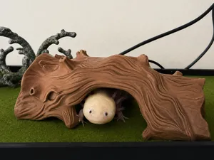 Open Log hide
