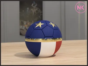 Ballon de football – Équipe de France Edition
