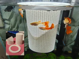 鱼缸 漂浮 隔离屋 孔雀鱼繁殖器 无需支撑