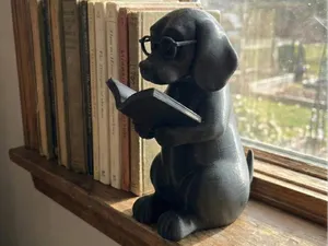 The Intellectual Dog - Library & Desk Decor