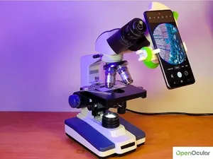 OE2.2