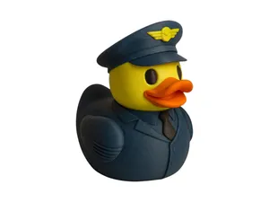 Aircraft Pilot Duck