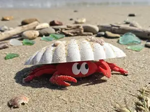 Crab Gigi und seine Muschel NO AMS