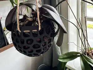Hanging orchid pot