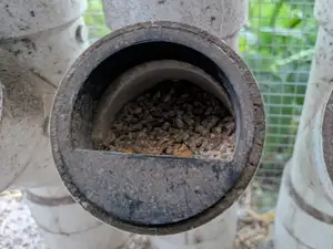 Chicken Feeder No-Spill Cap
