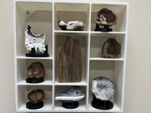 Knick-Knack Wall Display Shelf