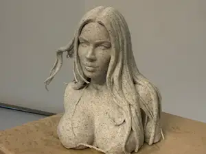 Megan Fox Bust