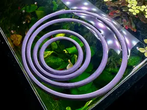 Floating Aquarium Plant & Feeding Ring
