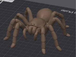 Spinne Tarantel