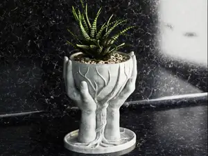 Hands Flower Pot