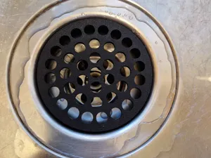 Sink Plug