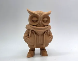 Hoodie Owl