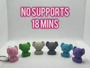 Cute Mini Koala