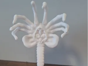 Face-Hugger
