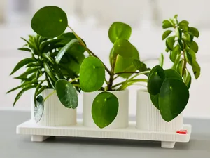 Bralento Living - Trio Planter Tray Set