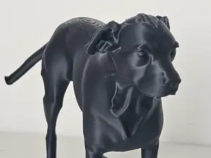 Perro meztizo pitbull