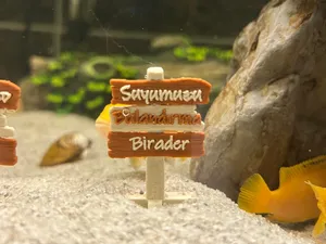 SUYUMUZU BULANDIRMA BİRADER AQUARIUM DECOR