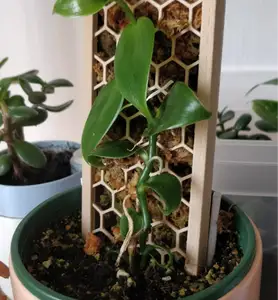 Stackable half closed moss pole