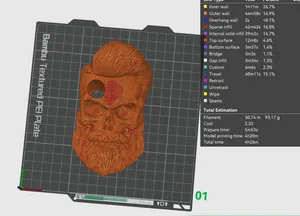 Skull Low Poly Shoot