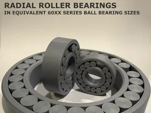 Radial Roller Bearing Family (60XX, 24 Sizes)