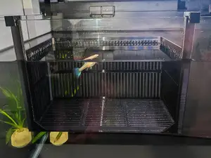 孔雀鱼隔离产房，可观察，适配小米鱼缸及市面上90%以上鱼缸，强度高，仅需63g耗材，a1mini