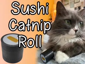 Sushi Catnip Roll