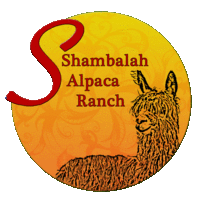 test 5 shambalah