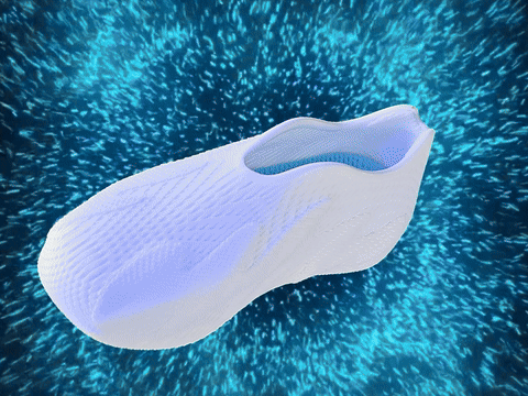 Denticle (footwear)