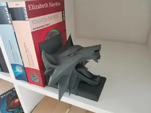 The Witcher Bookend